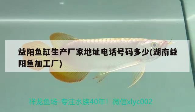 益陽魚缸生產(chǎn)廠家地址電話號碼多少(湖南益陽魚加工廠) 龍魚批發(fā) 第1張