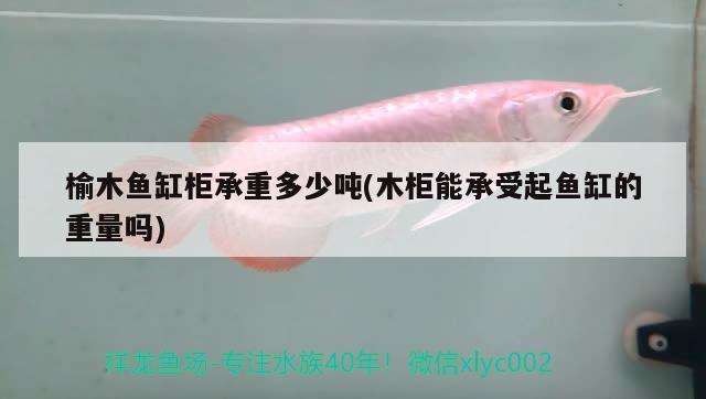 榆木魚(yú)缸柜承重多少?lài)?木柜能承受起魚(yú)缸的重量嗎)