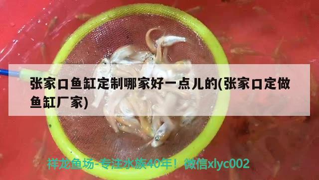 張家口魚缸定制哪家好一點兒的(張家口定做魚缸廠家) 鴨嘴鯊魚