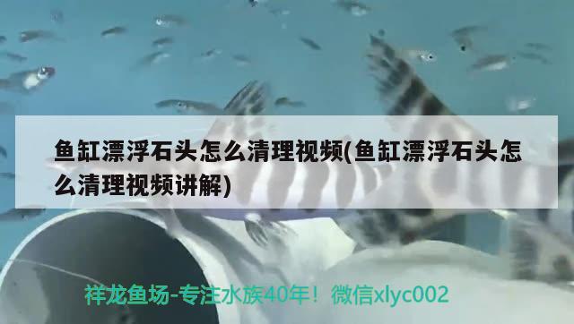 魚缸漂浮石頭怎么清理視頻(魚缸漂浮石頭怎么清理視頻講解)