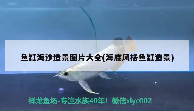 魚缸海沙造景圖片大全(海底風(fēng)格魚缸造景) 魚缸等水族設(shè)備