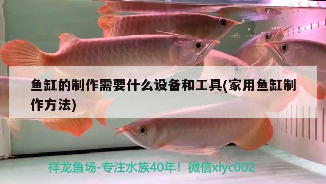 魚(yú)缸的制作需要什么設(shè)備和工具(家用魚(yú)缸制作方法) 大正錦鯉魚(yú)