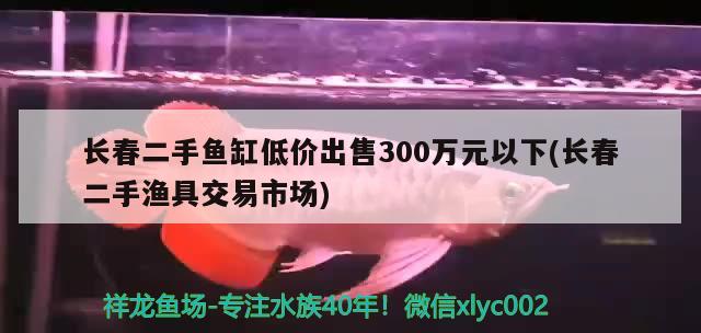 長春二手魚缸低價(jià)出售300萬元以下(長春二手漁具交易市場)