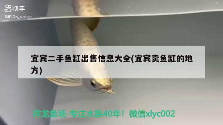 宜賓二手魚缸出售信息大全(宜賓賣魚缸的地方) 星點金龍魚