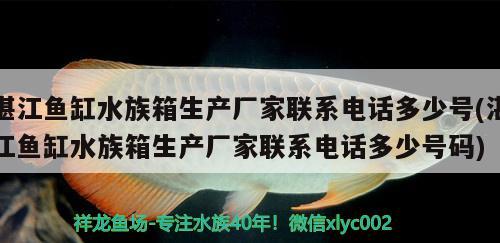 湛江魚(yú)缸水族箱生產(chǎn)廠家聯(lián)系電話(huà)多少號(hào)(湛江魚(yú)缸水族箱生產(chǎn)廠家聯(lián)系電話(huà)多少號(hào)碼) 魚(yú)缸/水族箱