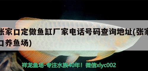 張家口定做魚缸廠家電話號碼查詢地址(張家口養(yǎng)魚場) PH調節(jié)劑