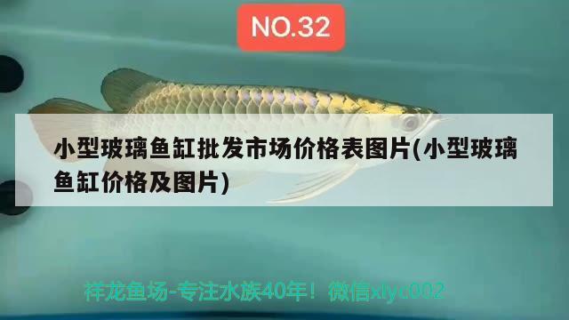 小型玻璃魚缸批發(fā)市場(chǎng)價(jià)格表圖片(小型玻璃魚缸價(jià)格及圖片)