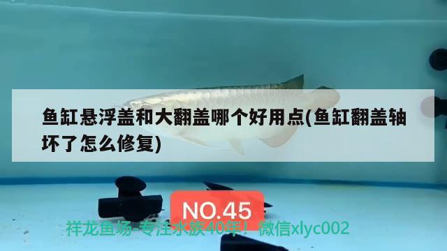 魚缸懸浮蓋和大翻蓋哪個好用點(魚缸翻蓋軸壞了怎么修復) 白子銀龍魚苗