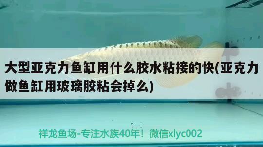 大型亞克力魚(yú)缸用什么膠水粘接的快(亞克力做魚(yú)缸用玻璃膠粘會(huì)掉么) 魚(yú)缸水質(zhì)穩(wěn)定劑