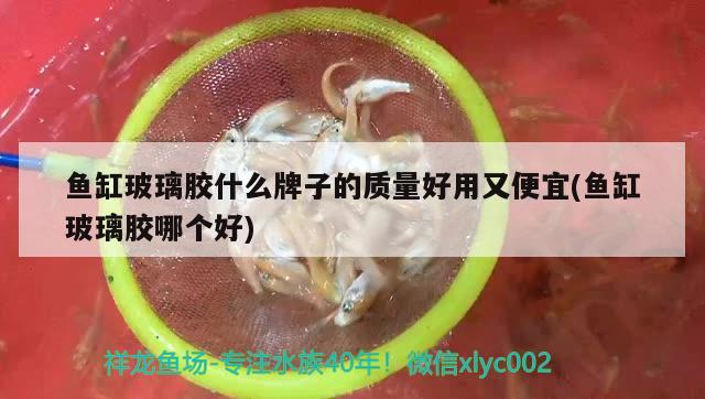 魚缸玻璃膠什么牌子的質量好用又便宜(魚缸玻璃膠哪個好)