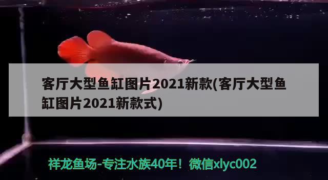 客廳大型魚缸圖片2021新款(客廳大型魚缸圖片2021新款式)