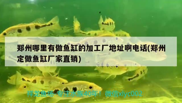 鄭州哪里有做魚缸的加工廠地址啊電話(鄭州定做魚缸廠家直銷)