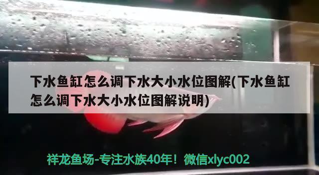 下水魚缸怎么調下水大小水位圖解(下水魚缸怎么調下水大小水位圖解說明) 翡翠鳳凰魚