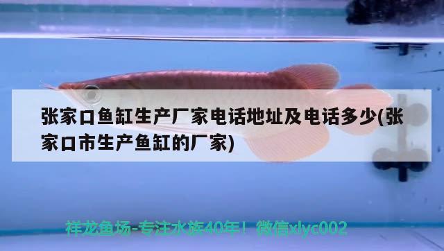 張家口魚缸生產(chǎn)廠家電話地址及電話多少(張家口市生產(chǎn)魚缸的廠家) 朱巴利魚