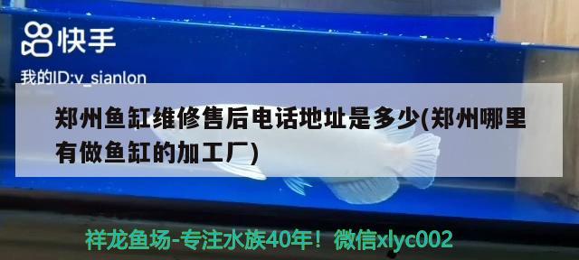 鄭州魚缸維修售后電話地址是多少(鄭州哪里有做魚缸的加工廠) 除藻劑