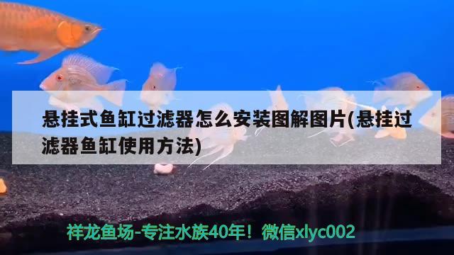 懸掛式魚缸過(guò)濾器怎么安裝圖解圖片(懸掛過(guò)濾器魚缸使用方法) 龍魚百科