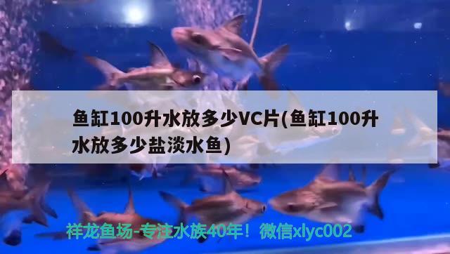 魚缸100升水放多少VC片(魚缸100升水放多少鹽淡水魚) 大白鯊魚苗 第2張