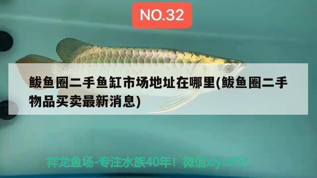 鲅魚圈二手魚缸市場地址在哪里(鲅魚圈二手物品買賣最新消息)