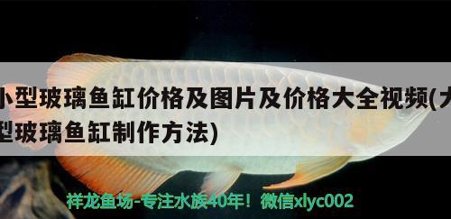 小型玻璃魚缸價格及圖片及價格大全視頻(大型玻璃魚缸制作方法)