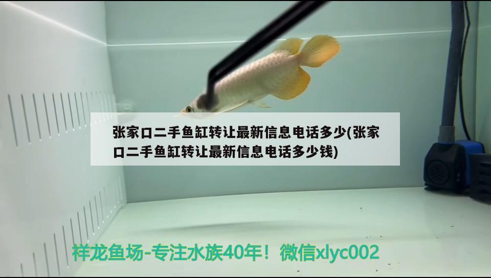 張家口二手魚缸轉(zhuǎn)讓最新信息電話多少(張家口二手魚缸轉(zhuǎn)讓最新信息電話多少錢)