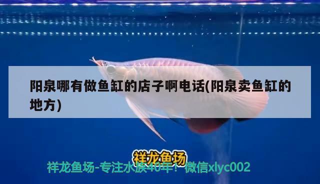 陽泉哪有做魚缸的店子啊電話(陽泉賣魚缸的地方)