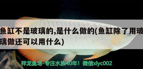 魚缸不是玻璃的,是什么做的(魚缸除了用玻璃做還可以用什么) 祥龍水族濾材/器材