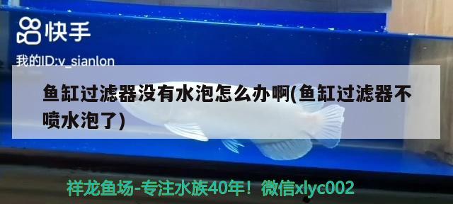 魚(yú)缸過(guò)濾器沒(méi)有水泡怎么辦啊(魚(yú)缸過(guò)濾器不噴水泡了) 電鰻