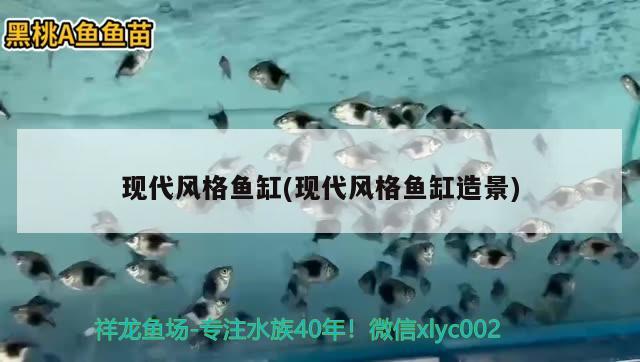 現(xiàn)代風(fēng)格魚缸(現(xiàn)代風(fēng)格魚缸造景) 龍鳳鯉魚