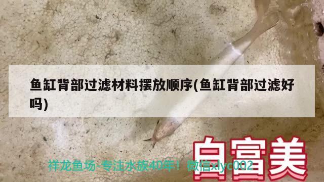 魚缸背部過濾材料擺放順序(魚缸背部過濾好嗎) 元寶鳳凰魚