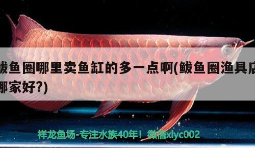 鲅魚圈哪里賣魚缸的多一點啊(鲅魚圈漁具店哪家好?)