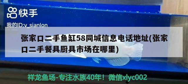 張家口二手魚(yú)缸58同城信息電話地址(張家口二手餐具廚具市場(chǎng)在哪里) 三間鼠魚(yú)