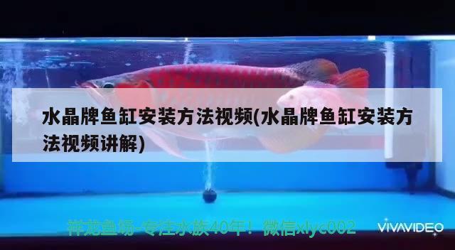 水晶牌魚缸安裝方法視頻(水晶牌魚缸安裝方法視頻講解)