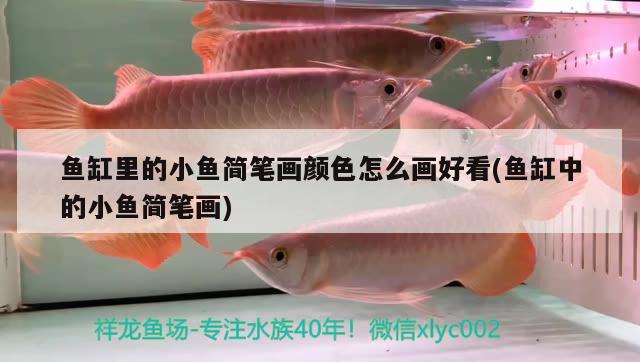 魚缸里的小魚簡筆畫顏色怎么畫好看(魚缸中的小魚簡筆畫) 元寶鯽