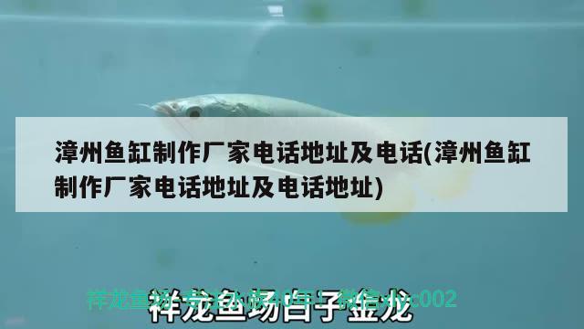 漳州魚(yú)缸制作廠家電話地址及電話(漳州魚(yú)缸制作廠家電話地址及電話地址) 三間鼠魚(yú)