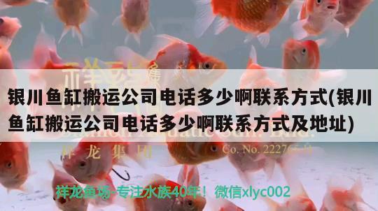 銀川魚缸搬運(yùn)公司電話多少啊聯(lián)系方式(銀川魚缸搬運(yùn)公司電話多少啊聯(lián)系方式及地址) 水族燈（魚缸燈）