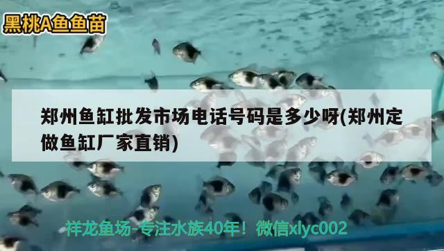 鄭州魚缸批發(fā)市場電話號碼是多少呀(鄭州定做魚缸廠家直銷) 魚缸清潔用具