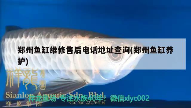 鄭州魚缸維修售后電話地址查詢(鄭州魚缸養(yǎng)護) 魟魚百科