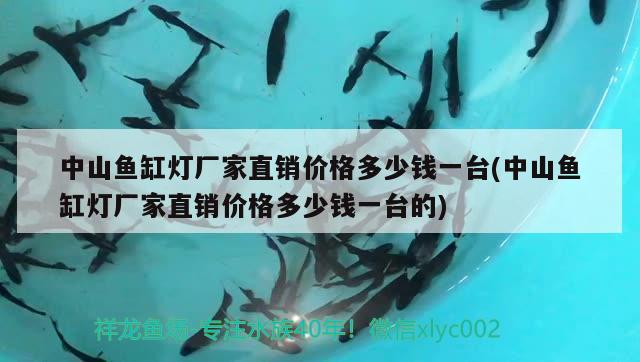 中山魚缸燈廠家直銷價格多少錢一臺(中山魚缸燈廠家直銷價格多少錢一臺的) 青龍魚