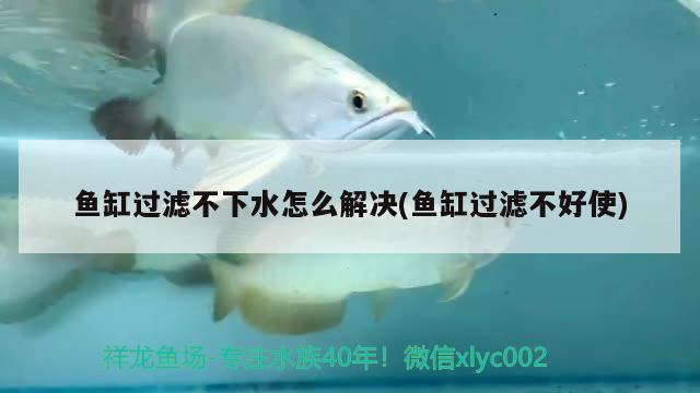 魚缸過濾不下水怎么解決(魚缸過濾不好使) 細(xì)線銀板魚苗