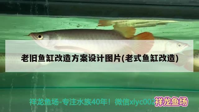 老舊魚缸改造方案設(shè)計(jì)圖片(老式魚缸改造)