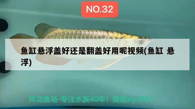 魚缸懸浮蓋好還是翻蓋好用呢視頻(魚缸懸浮)