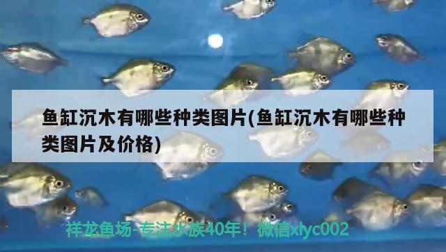 魚缸沉木有哪些種類圖片(魚缸沉木有哪些種類圖片及價(jià)格)