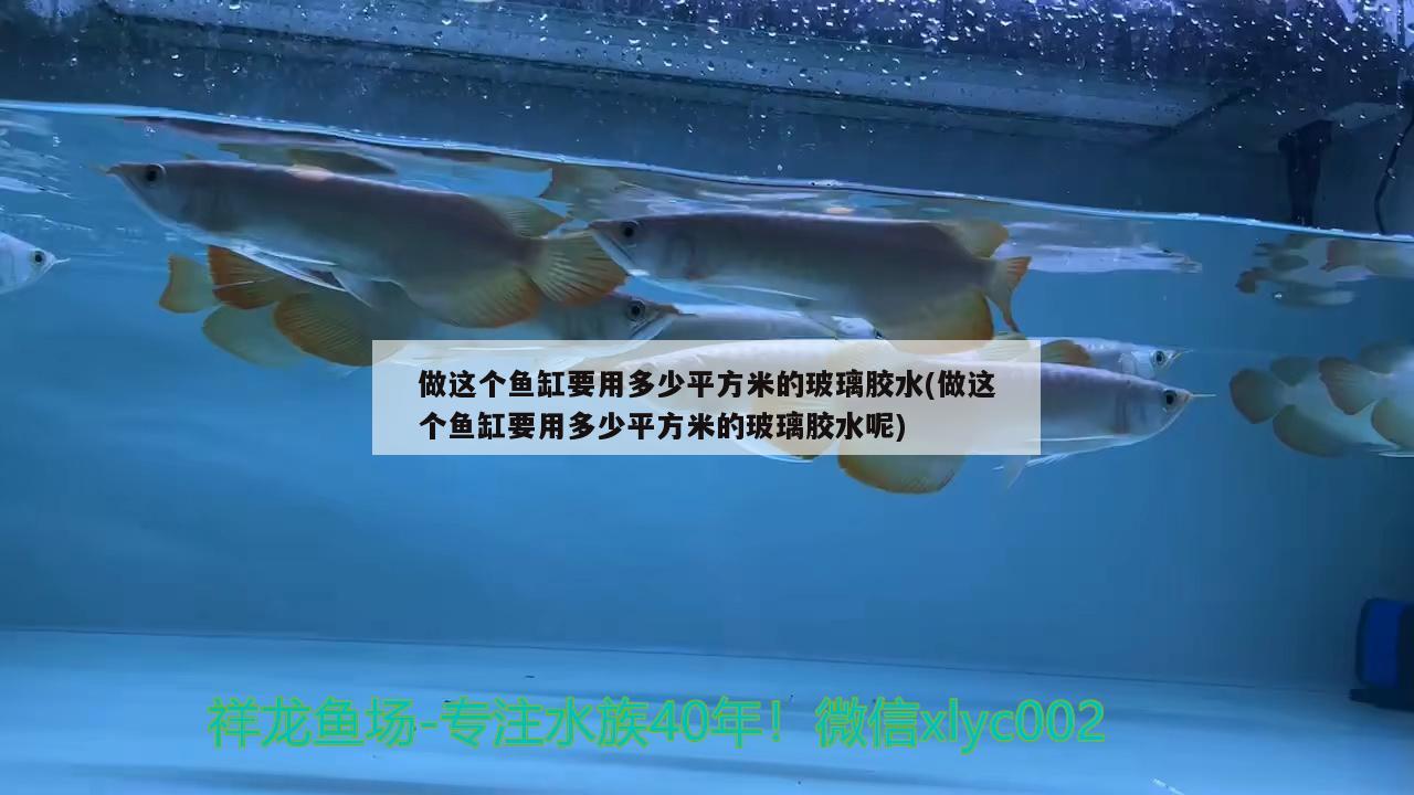 做這個(gè)魚(yú)缸要用多少平方米的玻璃膠水(做這個(gè)魚(yú)缸要用多少平方米的玻璃膠水呢)