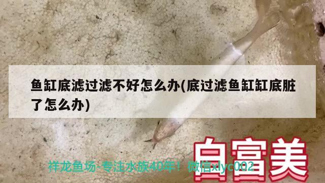 魚缸底濾過濾不好怎么辦(底過濾魚缸缸底臟了怎么辦) 魚缸清潔用具