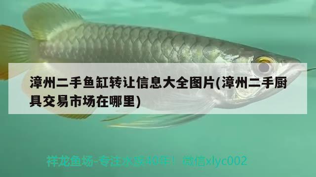 漳州二手魚缸轉(zhuǎn)讓信息大全圖片(漳州二手廚具交易市場在哪里)