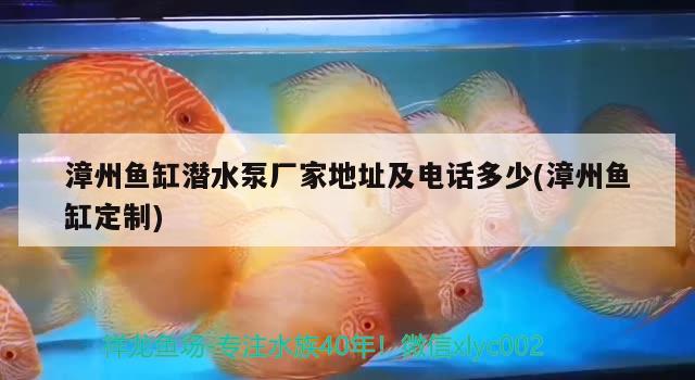 漳州魚缸潛水泵廠家地址及電話多少(漳州魚缸定制)