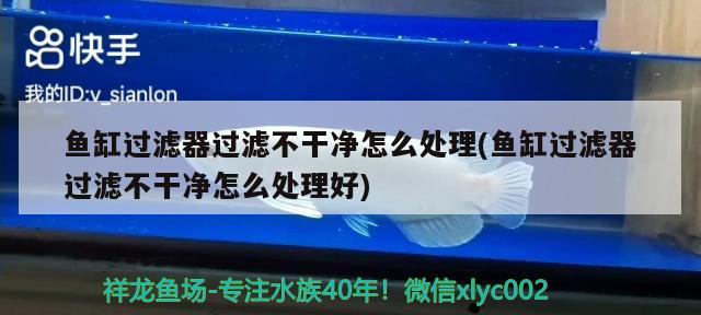 魚缸過濾器過濾不干凈怎么處理(魚缸過濾器過濾不干凈怎么處理好)