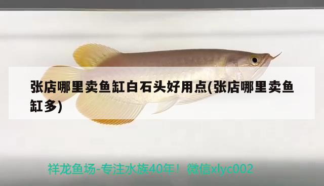 張店哪里賣魚缸白石頭好用點(張店哪里賣魚缸多)