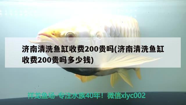 濟南清洗魚缸收費200貴嗎(濟南清洗魚缸收費200貴嗎多少錢)