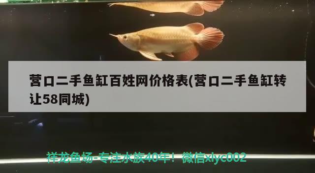 營口二手魚缸百姓網(wǎng)價格表(營口二手魚缸轉(zhuǎn)讓58同城)